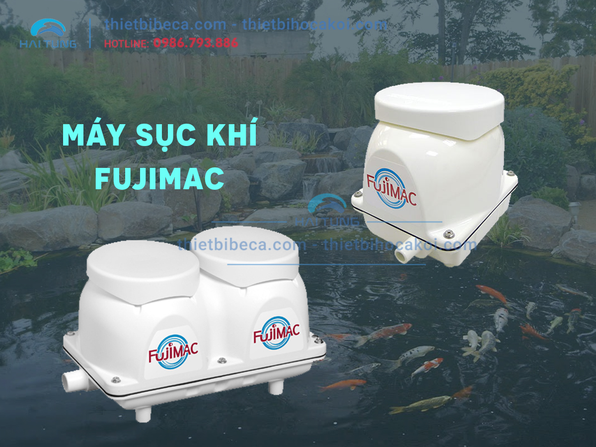 Máy Sục Khí Hồ Koi Fujimac 40R, 60R, 80R, 150R, 200R, 250R, 300R