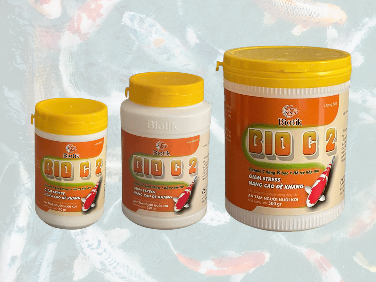 Biotik BIO C2 – Bổ sung Vitamin C, hỗ trợ sức khỏe và khả năng thích nghi của cá cảnh