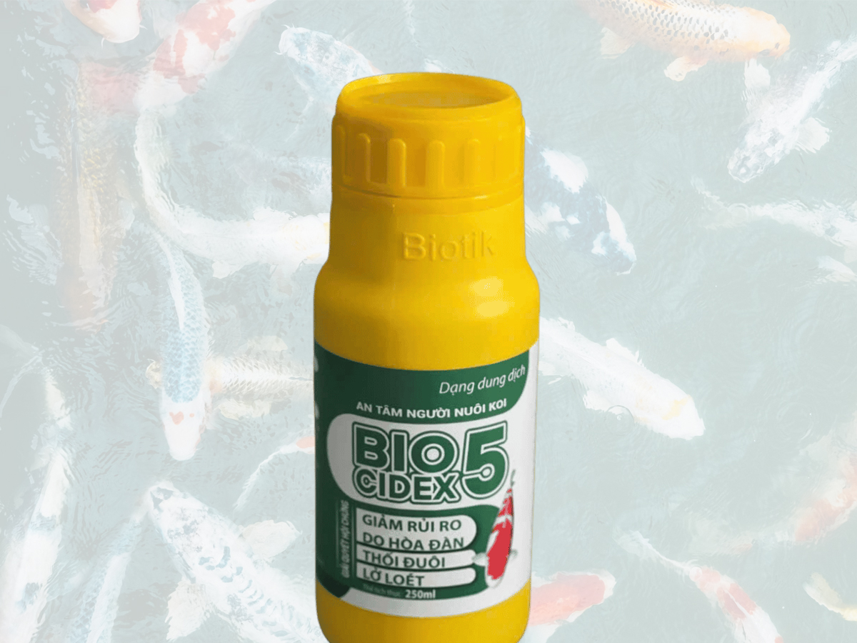 Biotik BIO CIDEX 5 – KIỂM SOÁT VI KHUẨN, NẤM VÀ KÝ SINH TRÙNG