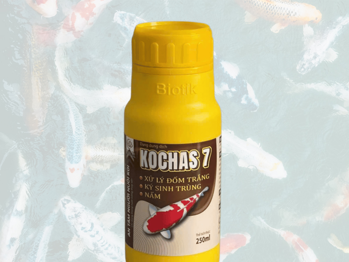 BIOTIK KOPCHAS 7 – KIỂM SOÁT ĐỐM TRẮNG, NẤM VÀ KÝ SINH TRÙNG