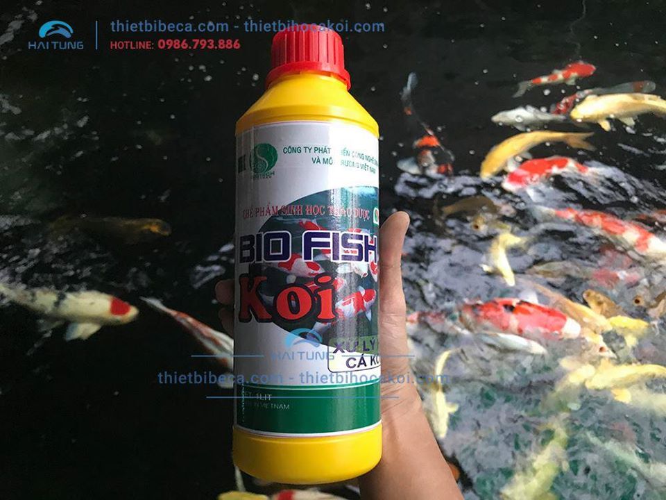 Combo mua 4 tặng 1 vi sinh hồ Koi BIO FISH KOI