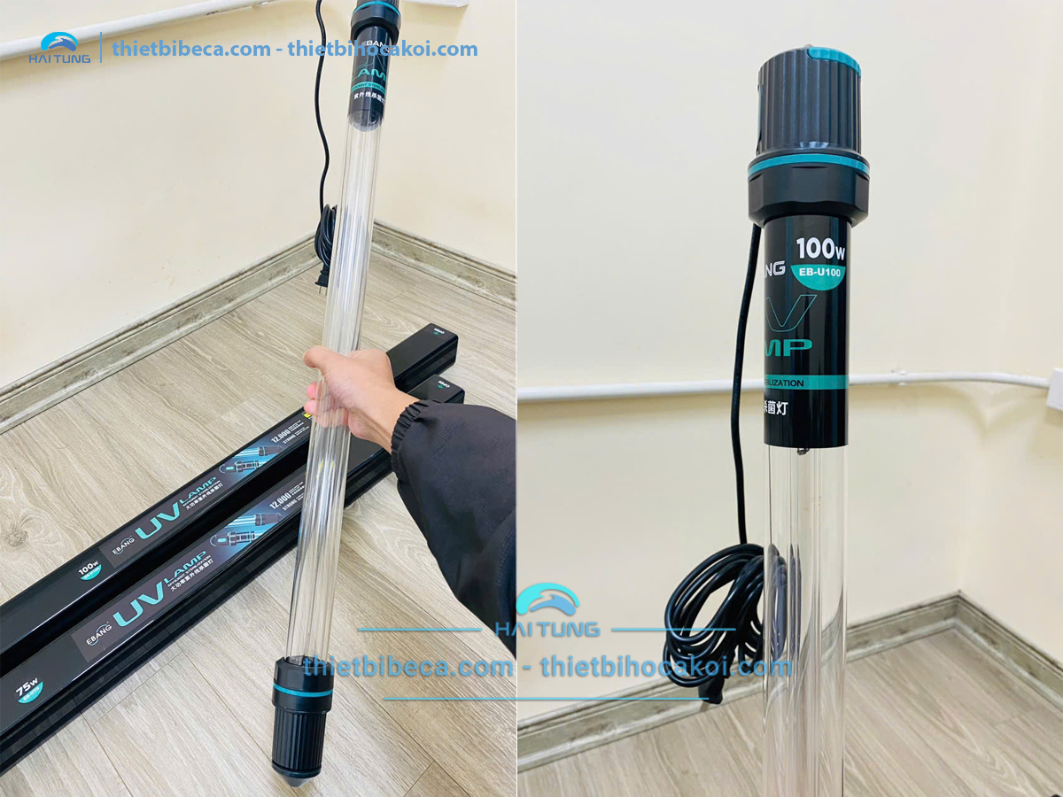 Đèn UV diệt khuẩn, diệt tảo hồ Koi Ebang EB 100w 80cm