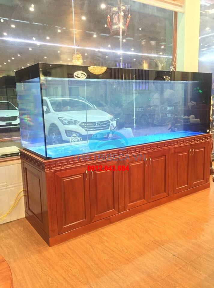 Bể cá rồng 215