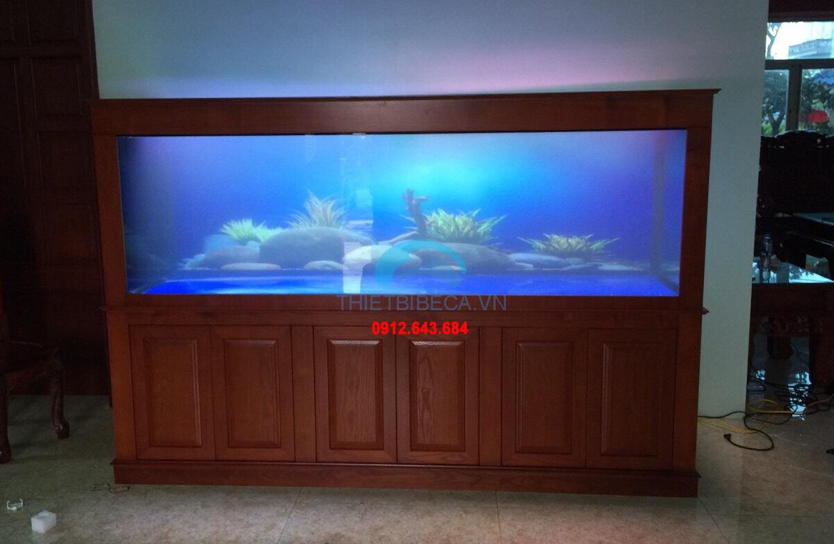 Bể cá rồng 234