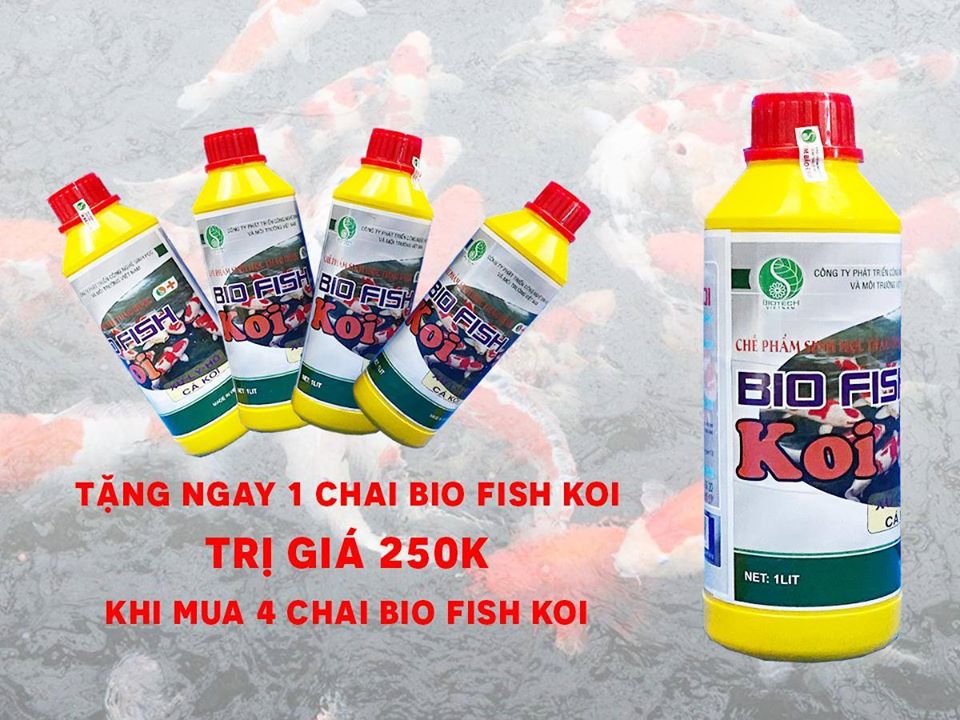 Combo mua 4 tặng 1 vi sinh hồ Koi BIO FISH KOI
