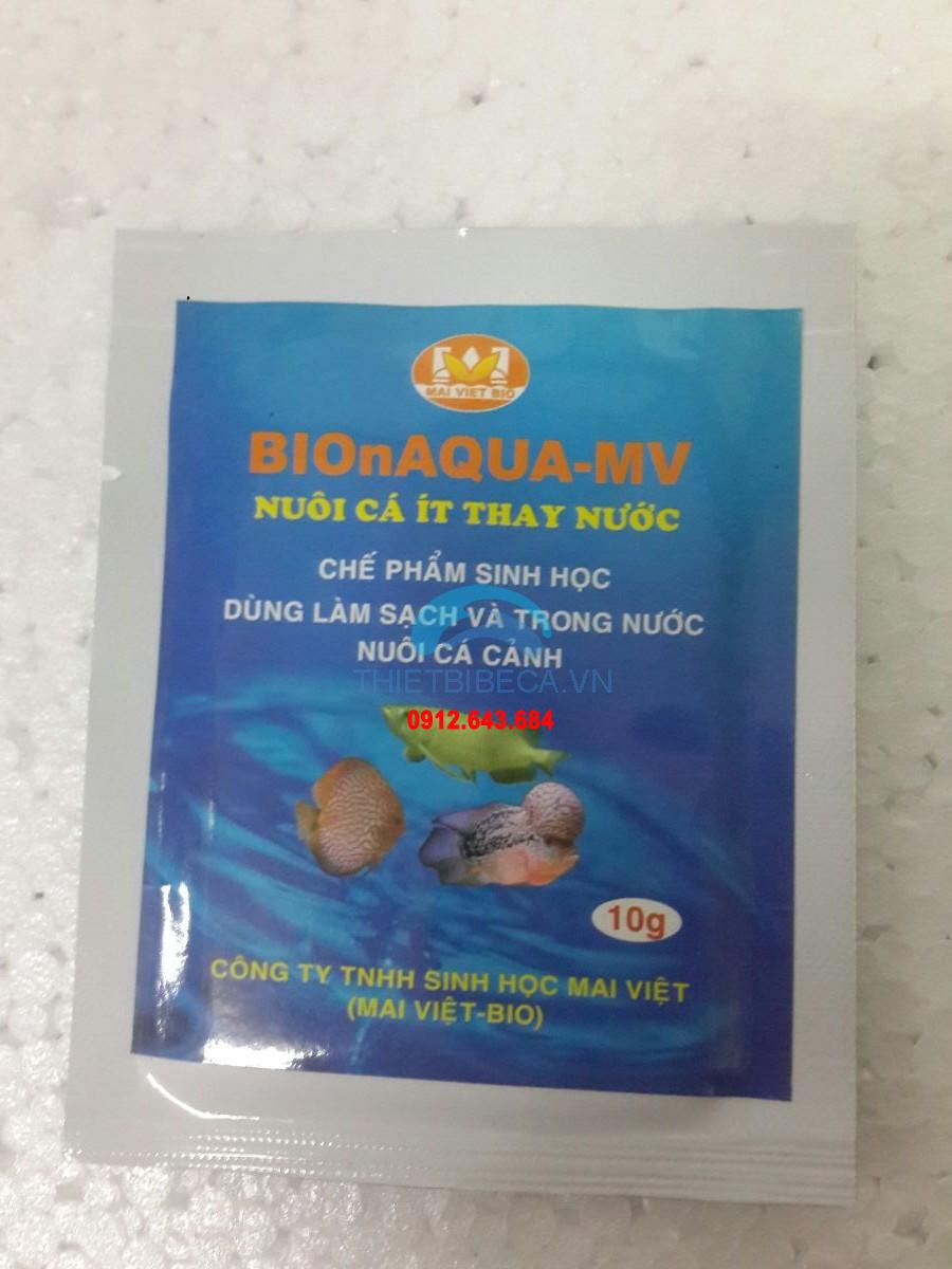 Men vi sinh Mai Việt 