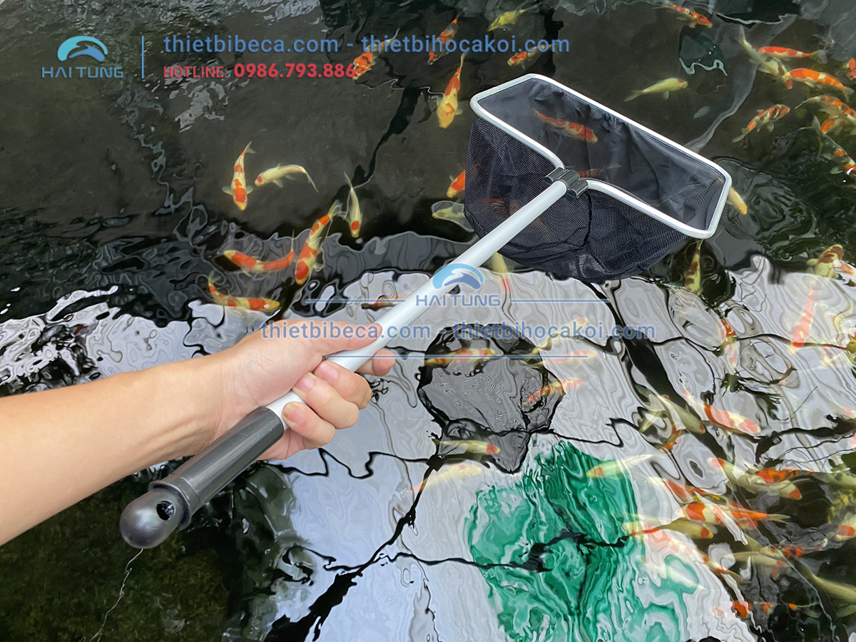 Vợt lùa bắt cá koi vuông 30cm cán dài 60cm