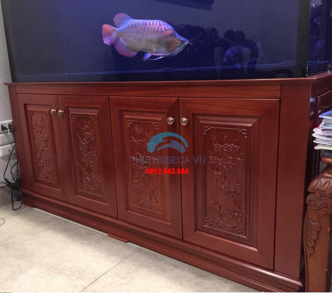 Bể cá rồng 155-C có chạm chân