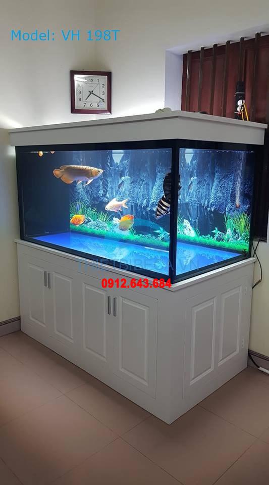 Bể cá rồng 198