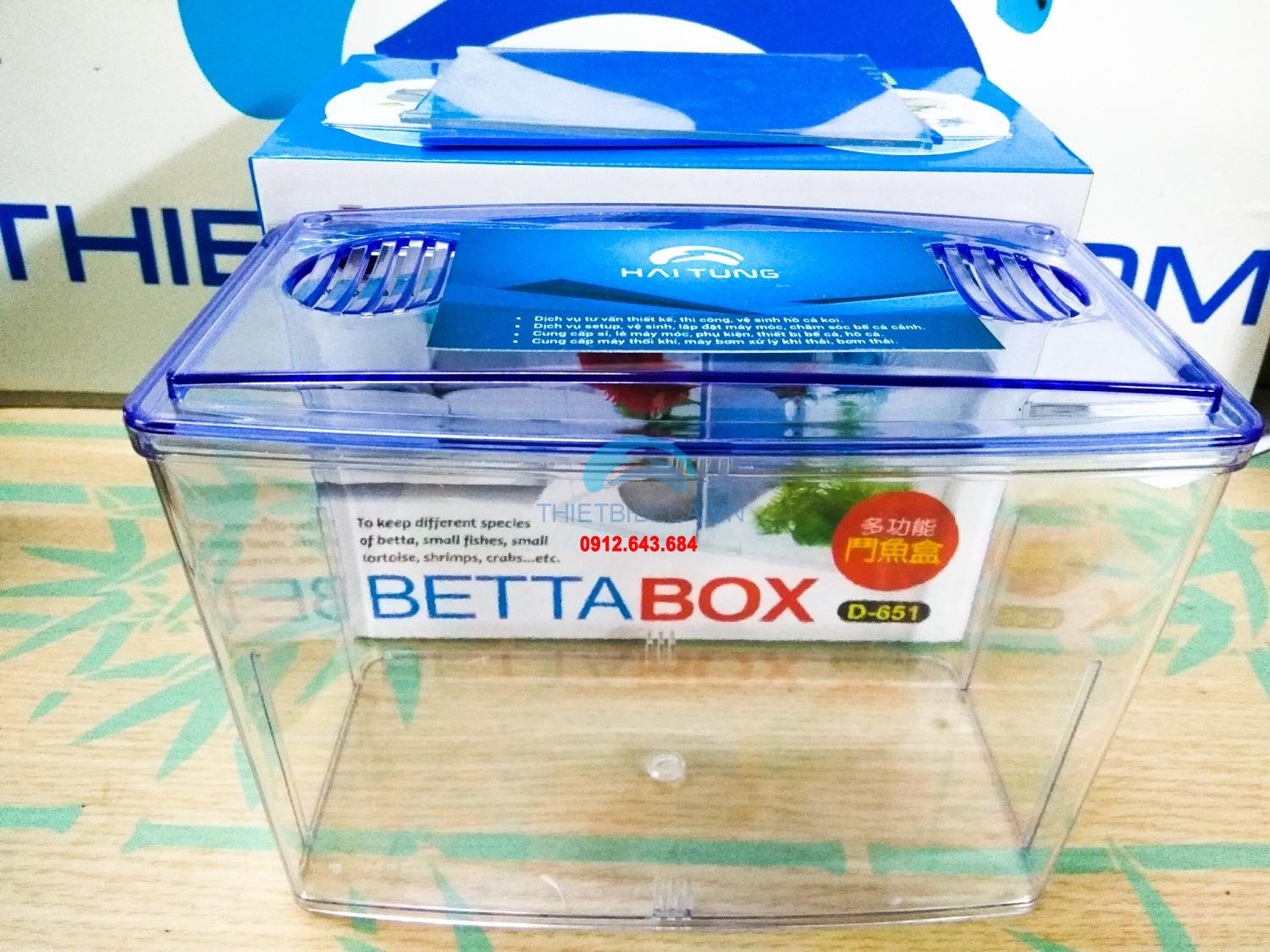 Bể nuôi cá chọi Betta Box