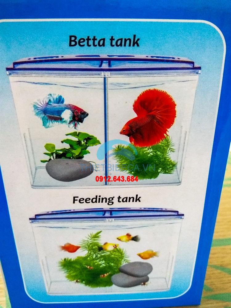 Bể nuôi cá chọi Betta Box