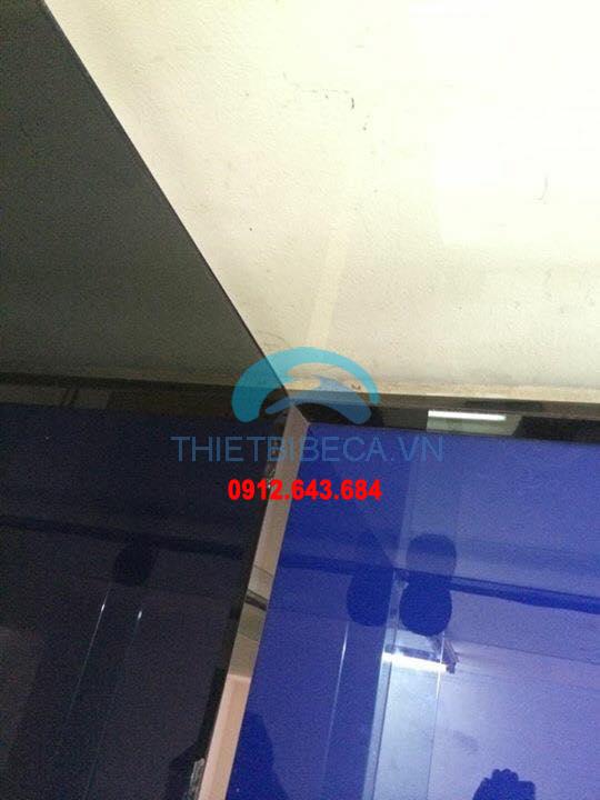 Bể cá rồng 176