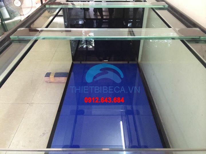 Bể cá rồng 155-C có chạm chân