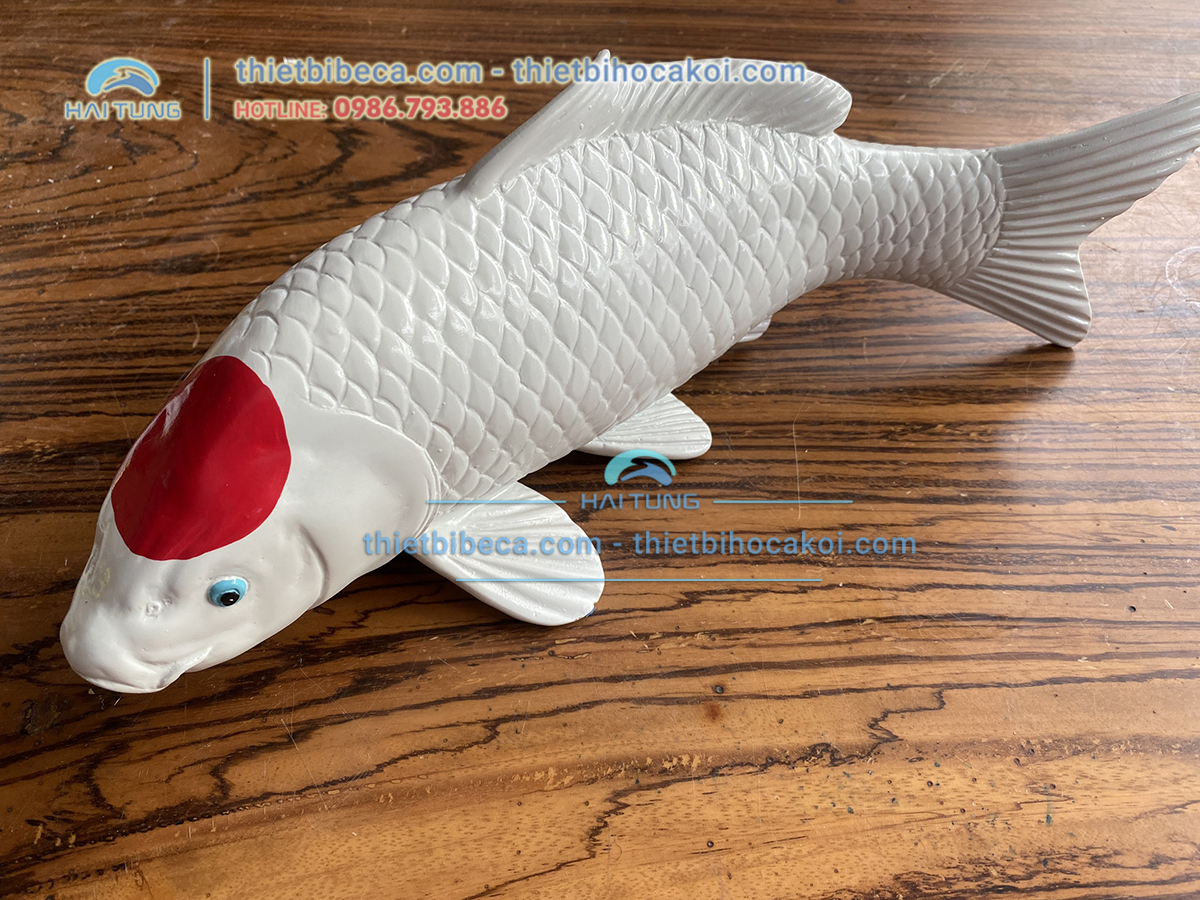 Mô hình cá Koi Tancho 40cm, cá koi, mô hình cá koi, tancho